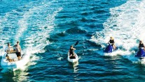 SHEAR FANTASEA -  Toys
